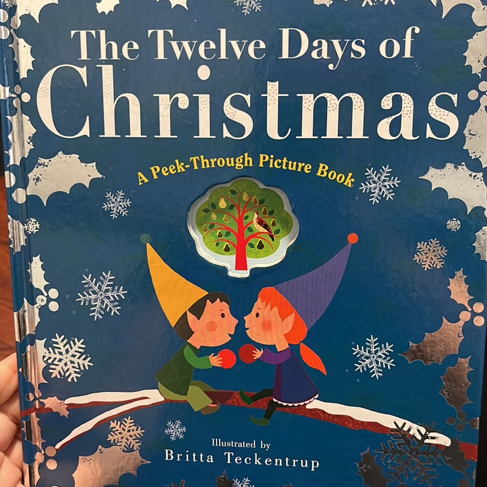 12 days of Christmas Book